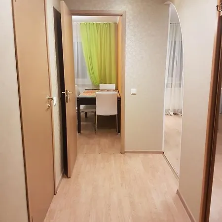 Puskini 65 Apartment